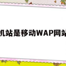 手机站是移动WAP网站吗(手机站是移动wap网站吗怎么设置)