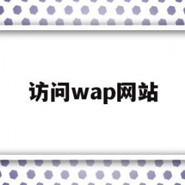 访问wap网站(访问web站点的方法有哪些)