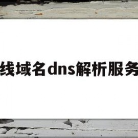 在线域名dns解析服务器(在线域名dns解析服务器失败)