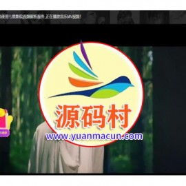  七星全网VIP解析PHP改版源码 带20个接口