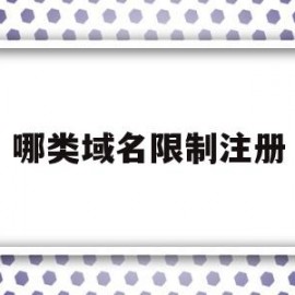 哪类域名限制注册(域名注册的限制性规定包括)