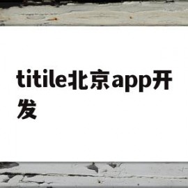 titile北京app开发的简单介绍