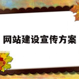 网站建设宣传方案(电子商务网站建设方案)