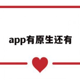 app有原生还有(原生应用的优势包括)