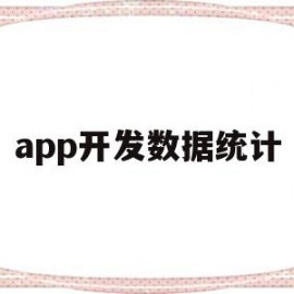 app开发数据统计(app开发数据统计软件)