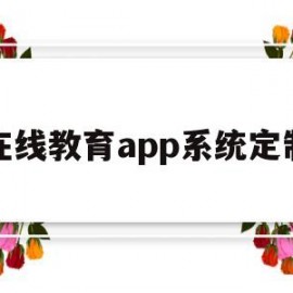 在线教育app系统定制(在线教育平台定制)