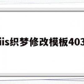 iis织梦修改模板403的简单介绍
