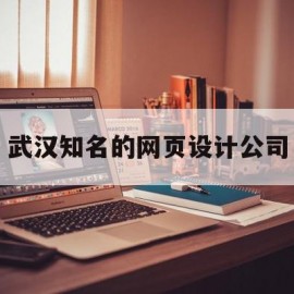 武汉知名的网页设计公司(武汉网页设计案例)