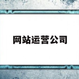 网站运营公司(网站运营公司排名)