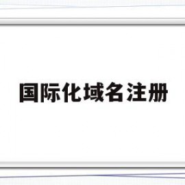 国际化域名注册(国际域名申请注册)