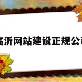临沂网站建设正规公司(临沂网站建设公司哪家好)