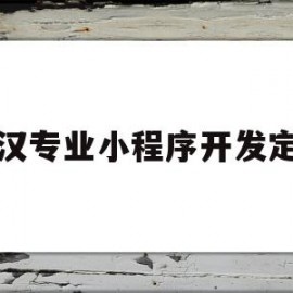 武汉专业小程序开发定制(在武汉做一个小程序多少钱)