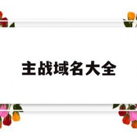 主战域名大全(网址主域名)