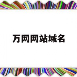 万网网站域名(万网网站域名解析)