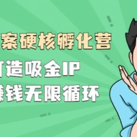 『爆款文案硬核孵化营』如何打造吸金IP，持续赚钱无限循环