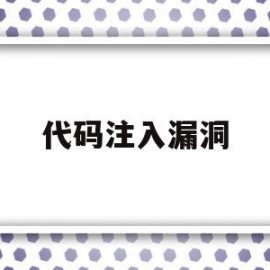 代码注入漏洞(代码注入器使用教程)