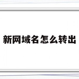 新网域名怎么转出(新网域名怎么转出去)