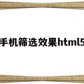 手机筛选效果html5(手机筛选怎么操作excel)