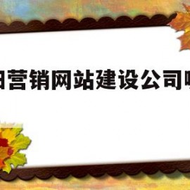 贵阳营销网站建设公司哪家好(贵阳做网站建设公司)