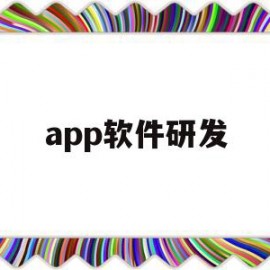 app软件研发(APP软件研发的财务分析怎么写)