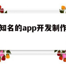 最知名的app开发制作公司(最知名的app开发制作公司有哪些)