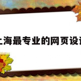 上海最专业的网页设计(目前最常用的专业网页设计工具是)