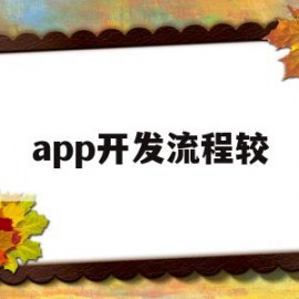 app开发流程较(app开发流程案例 湖南岚鸿)