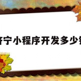 济宁小程序开发多少钱(济宁小程序开发多少钱一个)