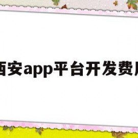 西安app平台开发费用(app开发费用标准)