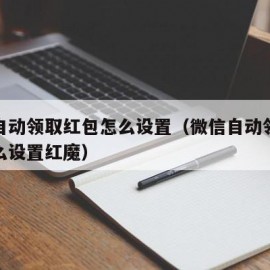 微信自动领取红包怎么设置（微信自动领取红包怎么设置红魔）