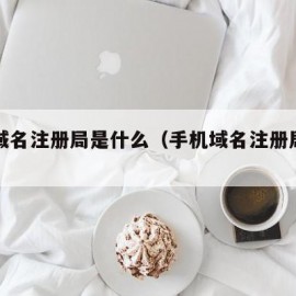 手机域名注册局是什么（手机域名注册局官网查询）