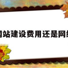 网站建设费用还是网络(网站建设费用还是网络费用)