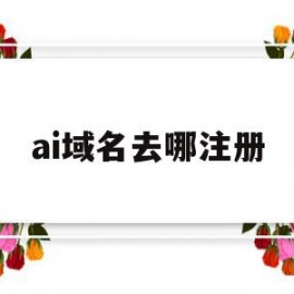 ai域名去哪注册(ai域名能备案吗)