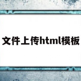 文件上传html模板(html上传文件至指定文件夹)