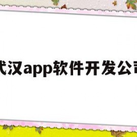 武汉app软件开发公司(武汉排名靠前的软件开发公司)