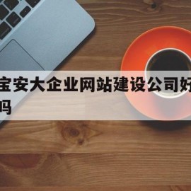 关于宝安大企业网站建设公司好吗的信息