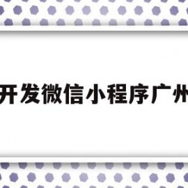 开发微信小程序广州(广州小程序开发公司排行榜)