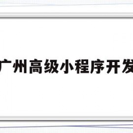 广州高级小程序开发(广州小程序开发公司招聘)