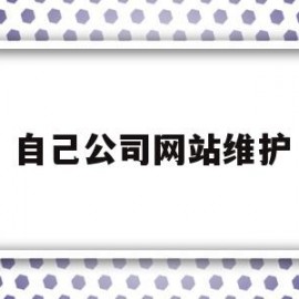 自己公司网站维护(公司网站维护好做吗)