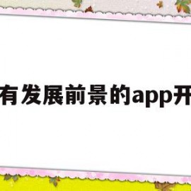 具有发展前景的app开发(app软件开发的未来发展趋势)