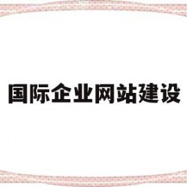 国际企业网站建设(国际企业网站建设方案)