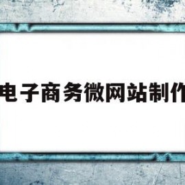 电子商务微网站制作(电子商务网站搭建)