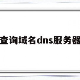 查询域名dns服务器(查询域名dns信息的命令)
