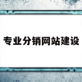 专业分销网站建设(专业网络分销平台的优劣势)
