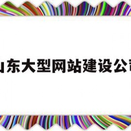 山东大型网站建设公司(山东大型网站建设公司有哪些)