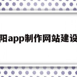 沈阳app制作网站建设推(沈阳app制作网站建设推广公司)