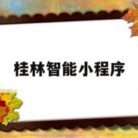 桂林智能小程序(桂林智能科技有限公司)