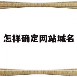 怎样确定网站域名(怎样查询网站的域名信息)