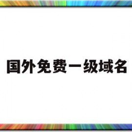 国外免费一级域名(一级域名是国内外都能访问的吗)