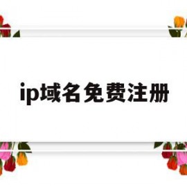 ip域名免费注册(注册免费域名网站)